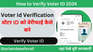 How to Verify Voter ID