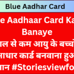 Blue Aadhar Card Print