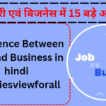 Difference Between Job and Business in hindi