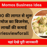 Momos Business Idea in Hindi