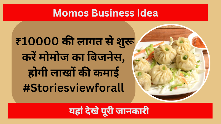 Momos Business Idea in Hindi