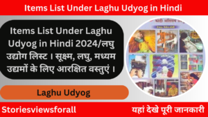Items List Under Laghu Udyog in Hindi