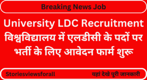 University LDC Recruitment 2024